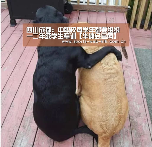 体育赛事